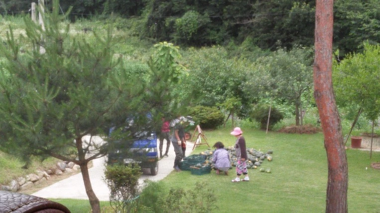 257D3645578C5B5E06F508