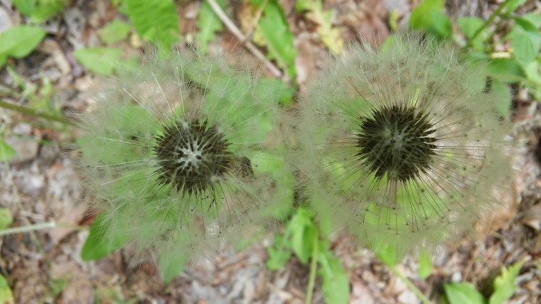 254F513959290FF138F630