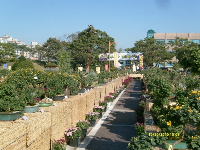 212CDD4454241641225DA8