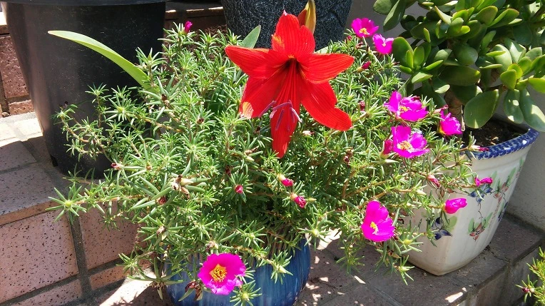 225BBC4E576E19B51D4D06