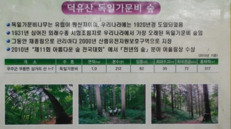 244C033556EB9B7B208DE5