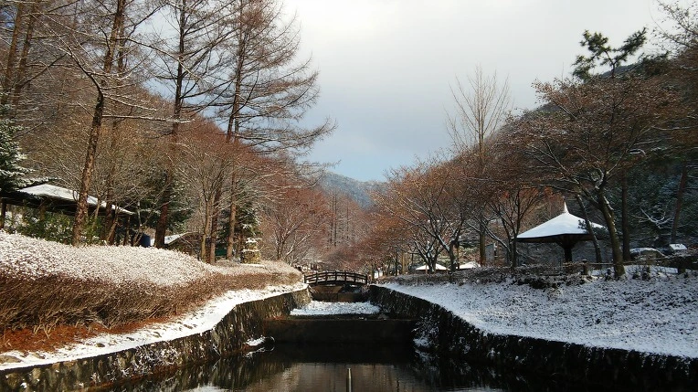 27570D3A5656A5E505A4F8