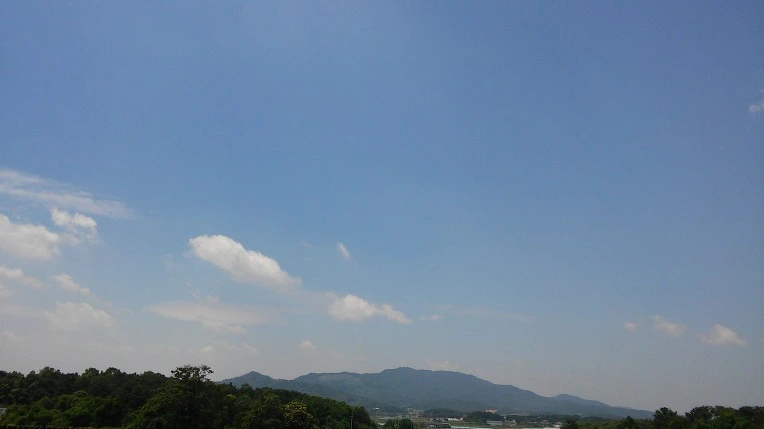 2542A34E576E19812E46C5