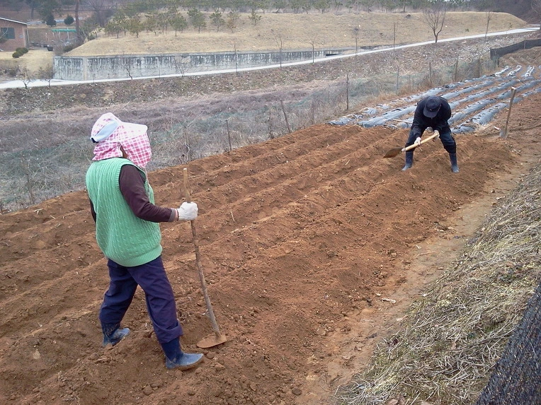 120C2C4B4F726BCC229469