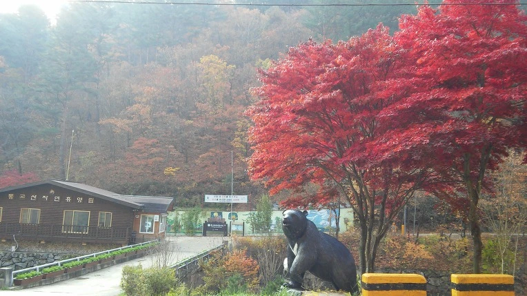 99F99B335A0ED10308A8DB