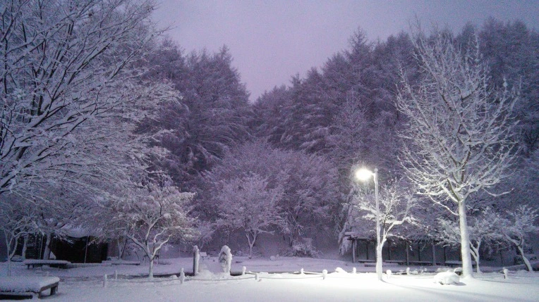 242DA43F56600904149D9F