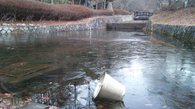 250E8736567212D522D2E0