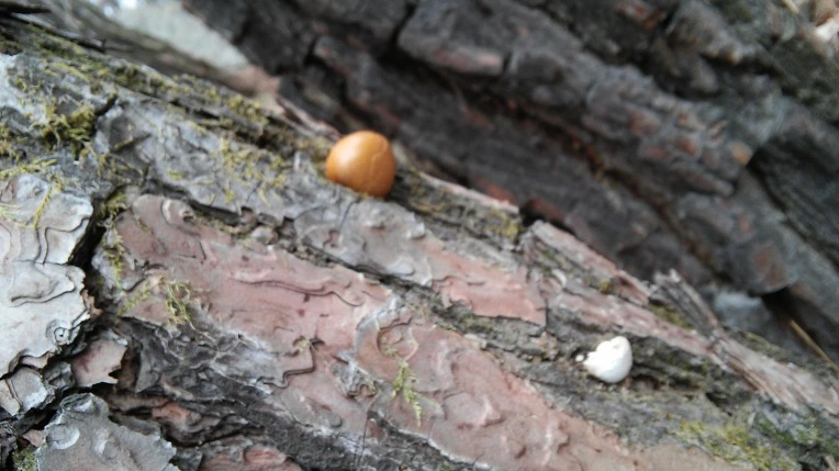 242D5E4956987E42010E58