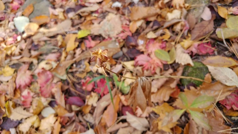 9954C93A5DBE67D802CA59