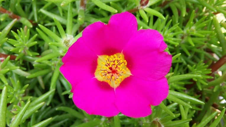 265AB533575A231C11F7C2