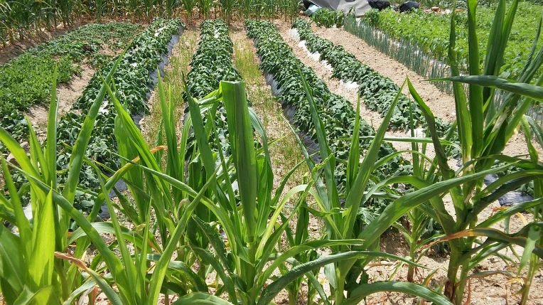 2119B94C576B4DCF278484