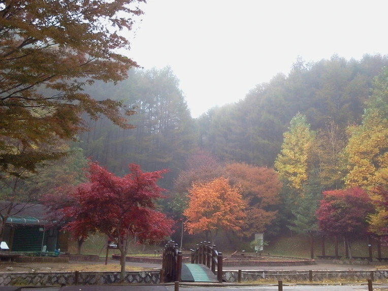 263ECE395424173B330C00