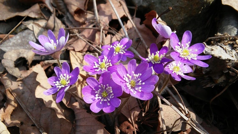 2622BD46550D070B23BA3B