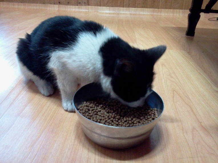 013A254C5142A5B235E070