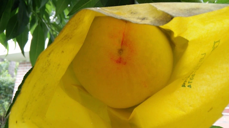 2406993A5796DC5432A3D8