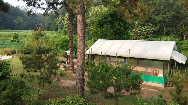 253FD337575A20730EA9D7