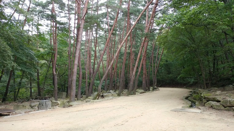 99A9BF485D9ACDD602F59D