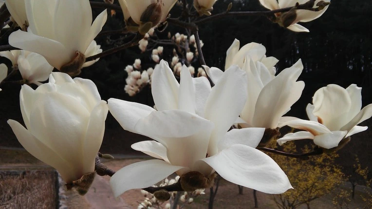 2235D74458D8DBB60BFA88