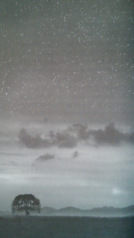 2341AB5057AC43E7025D2B