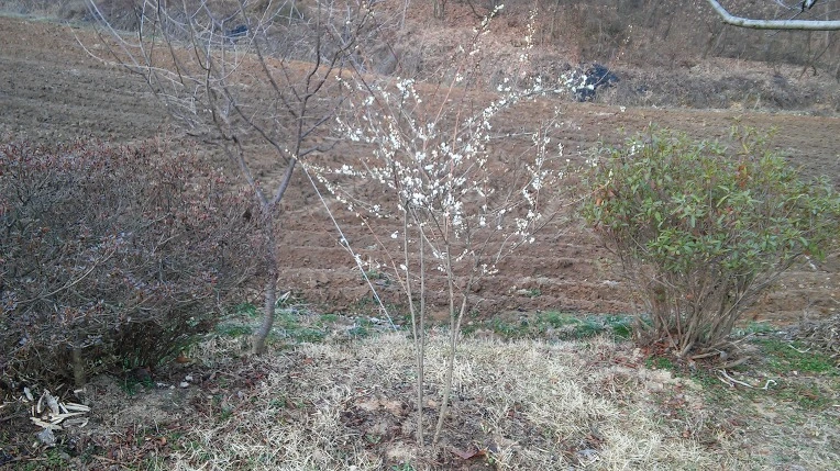 2412AA4056FC8BF909F310