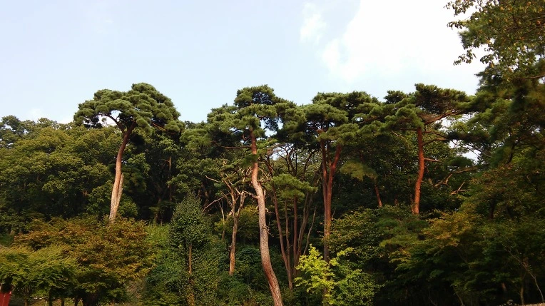 246C2545560FBCFB359011