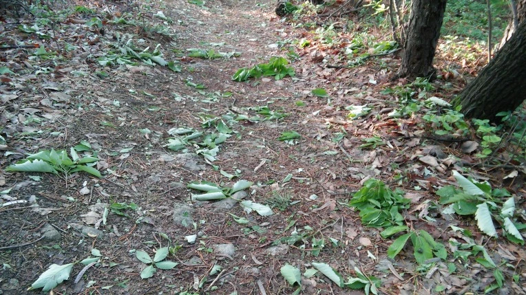 253EB44B57292CE61622C7