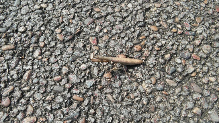 999F033359E6B2922F7F19