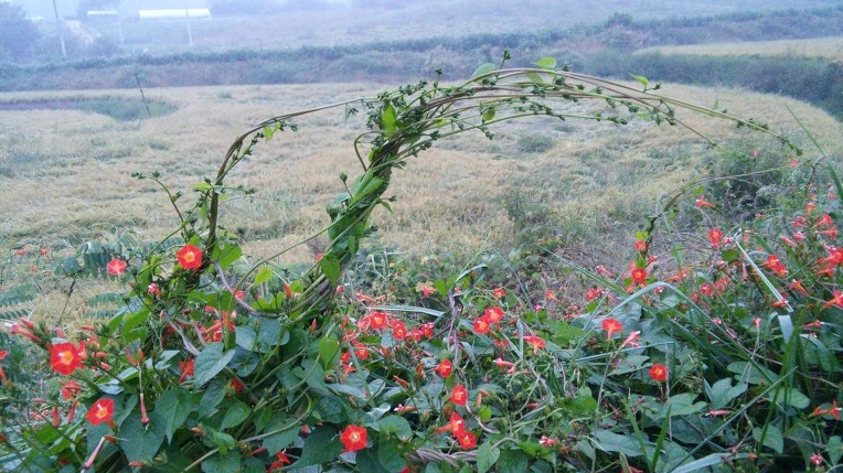 2331FA4A57E701C91A0FCC