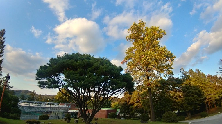 99B354365C2758AE2CAE2B