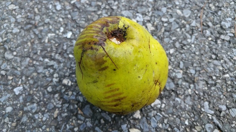 99470B425BEB80F521B290