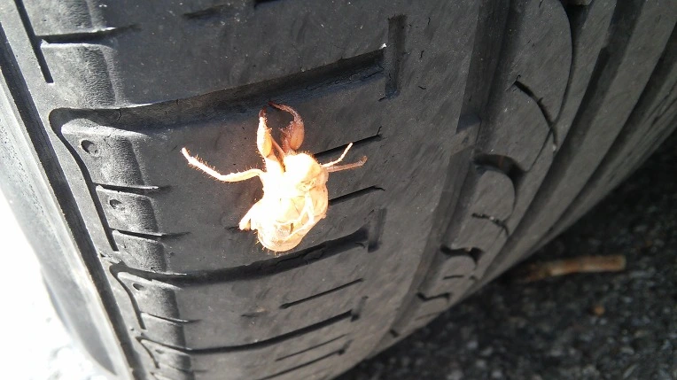 27486B4555BD540218CCF4