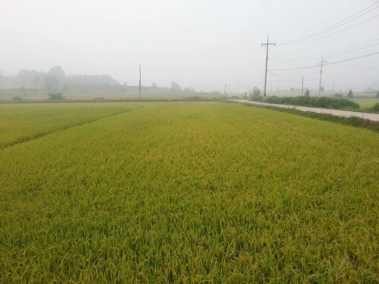 2703E34C522FC5240964FB