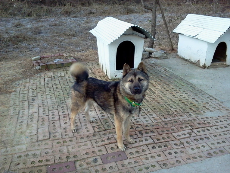 2764A350547F911B0B816C