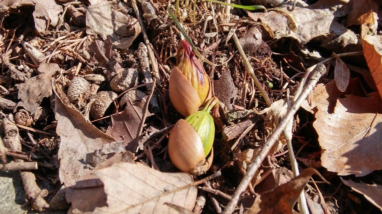 2456A5345501393B05C474