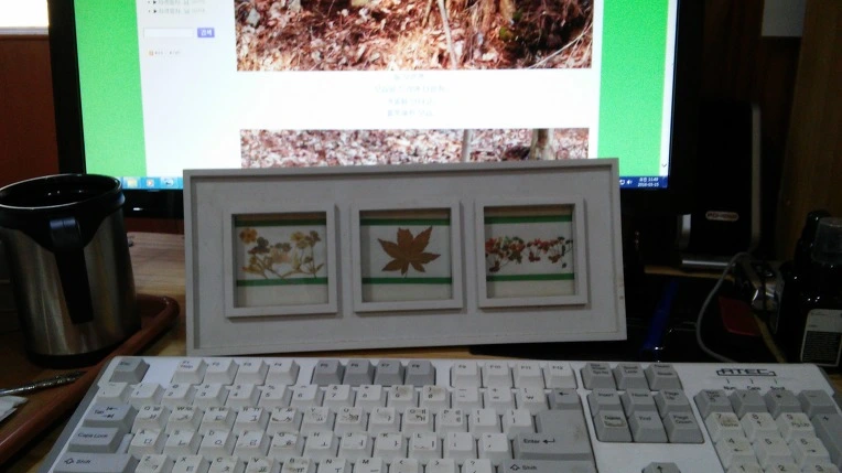 274B7E4E56E9E4FD079E9A