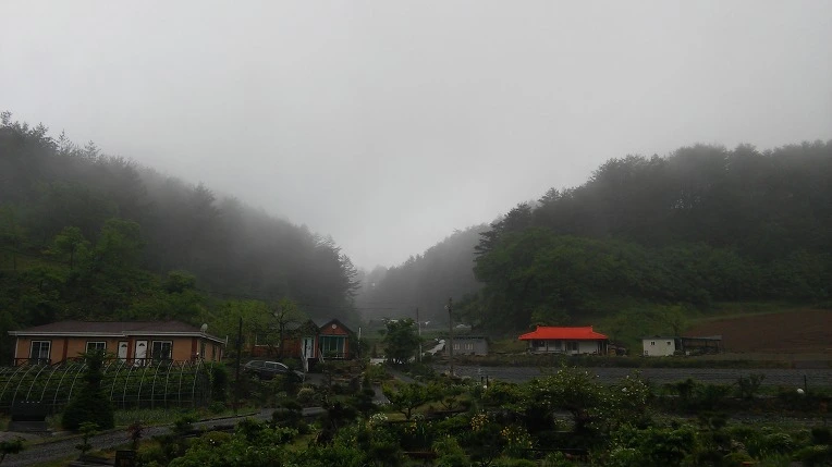 2503834C5924D6B433A607