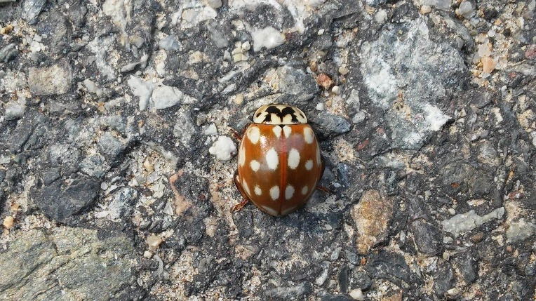 220B1C3456F39021351294