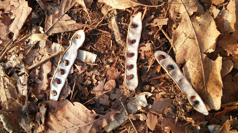 2621794C58C1E327224BE8