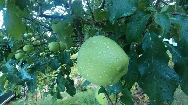 9942F3385B6119921DF159