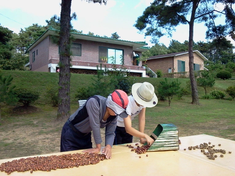 215CA23B5424185716075B