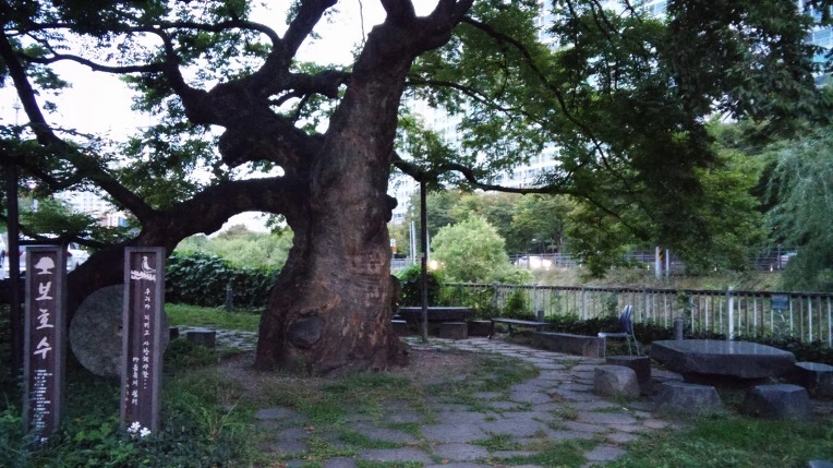 2233253B57F460170F9A91