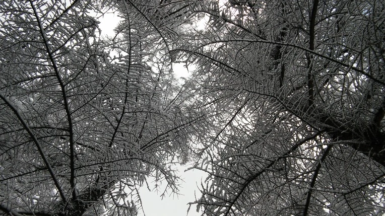 2502BF39565F945B047DFD