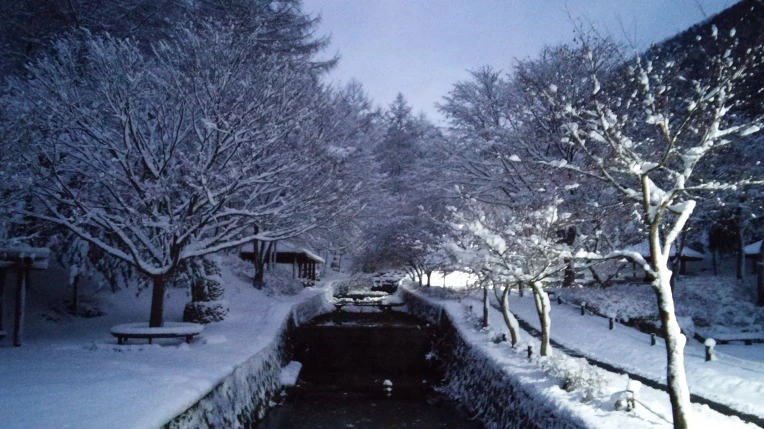 265A89425660CFB7322CDB