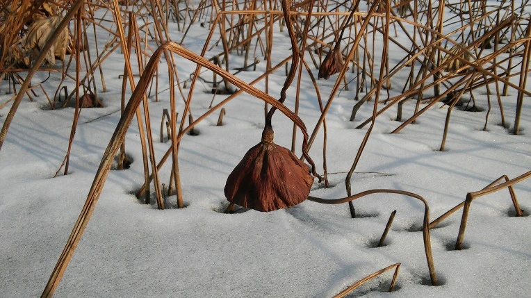 24635F4A56A9E9BD13AE4B