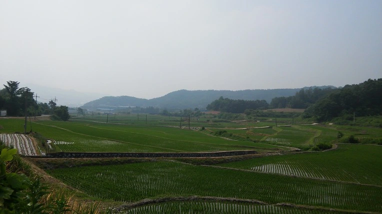 261D6C36575A22A20E4780