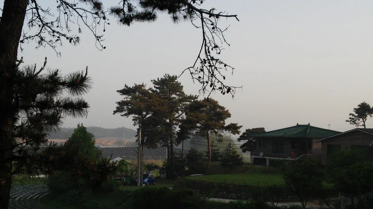 26310F34572E66D52CBD21