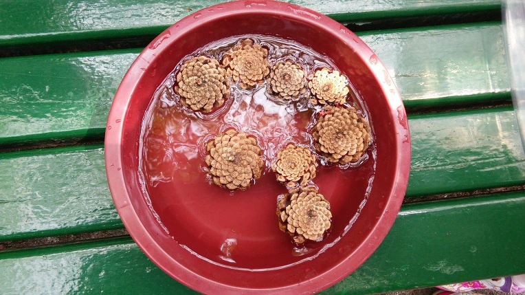 230B8B4056528543275295