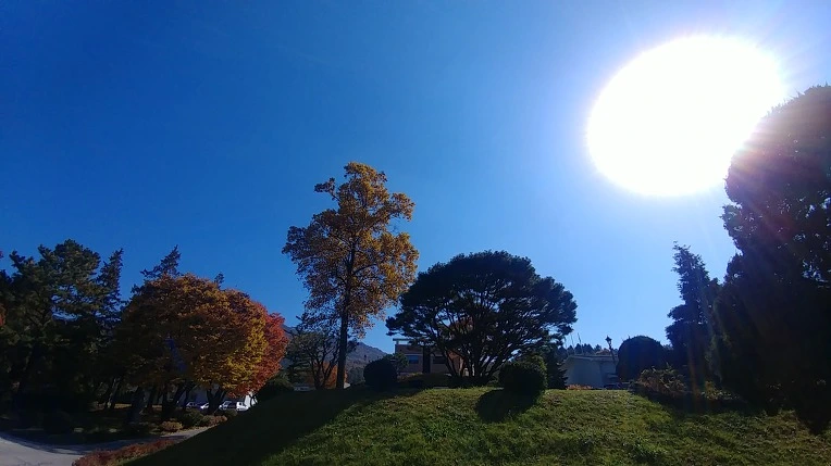 991AE03B5C2758B627AEC5