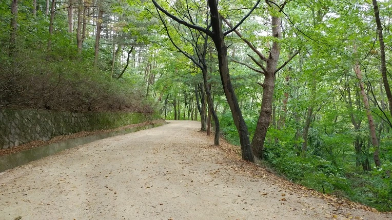 992FE34F5D9ACD6D3C8B5A