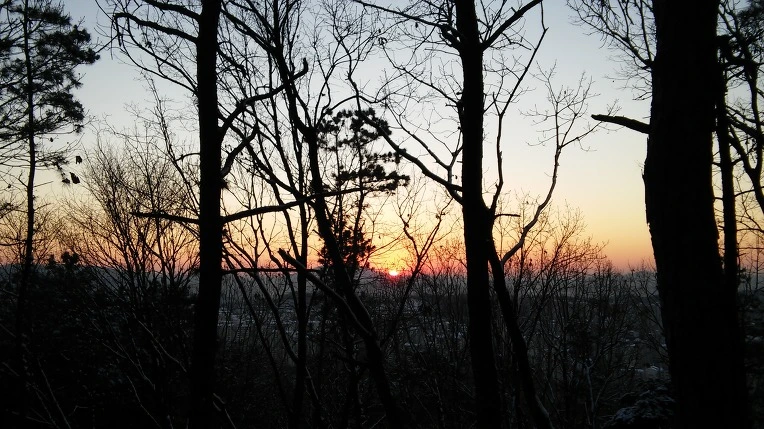 2660F8425696EF06367E43